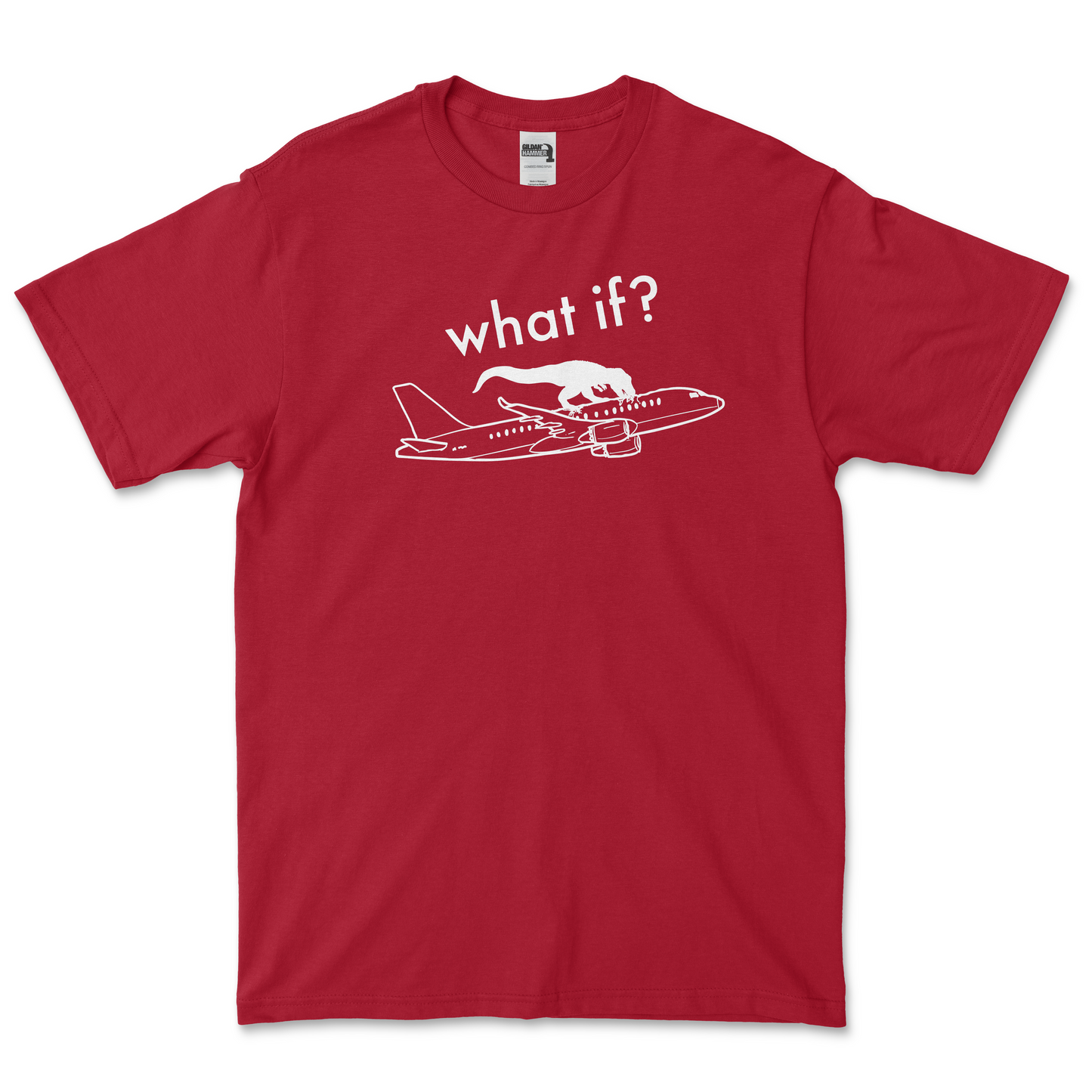 What if plane