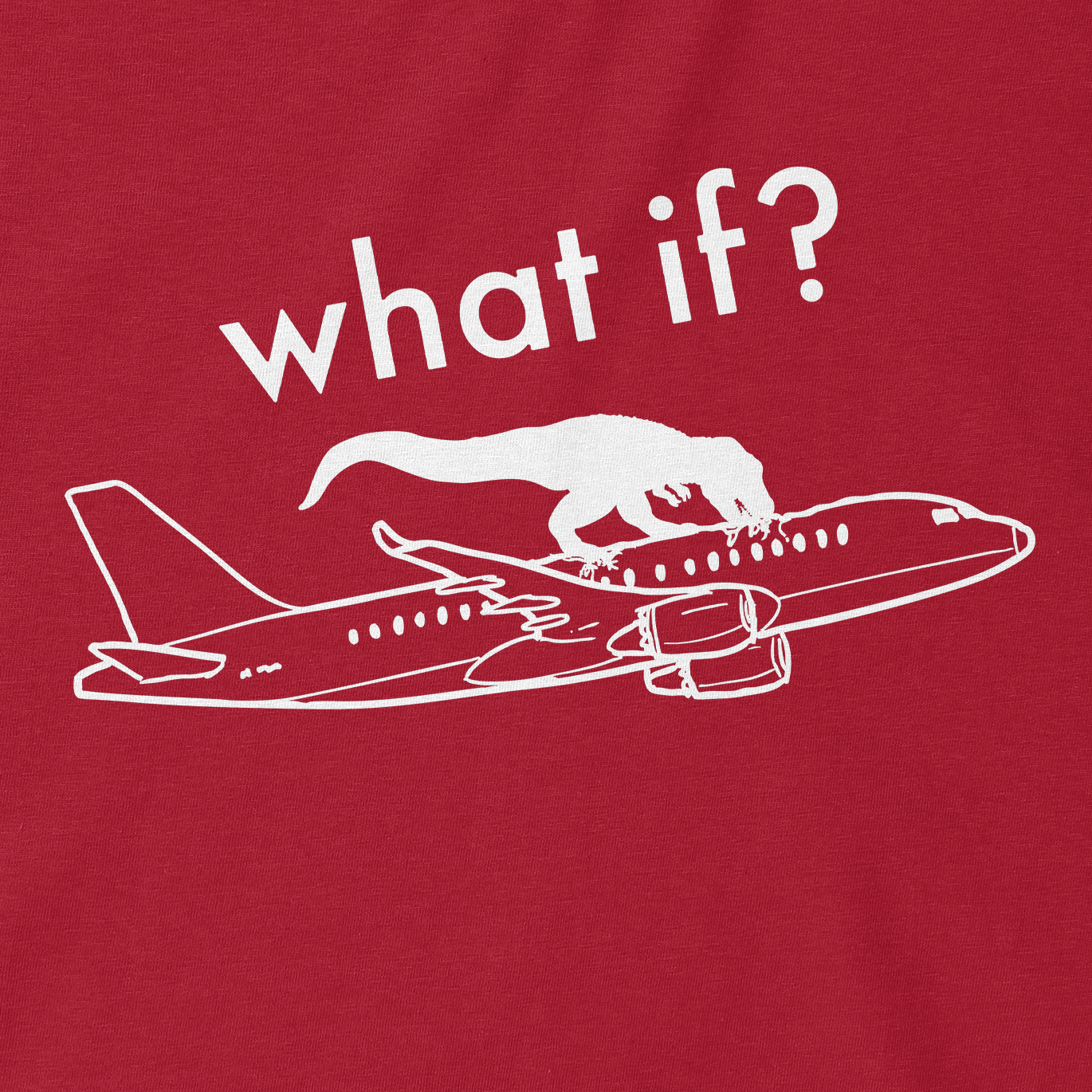 What if plane