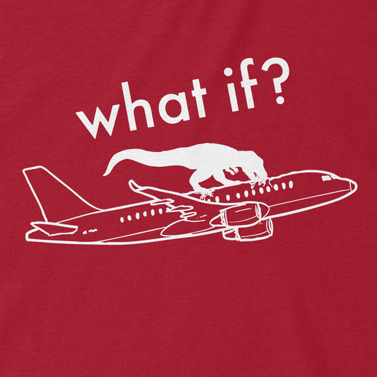 What if plane
